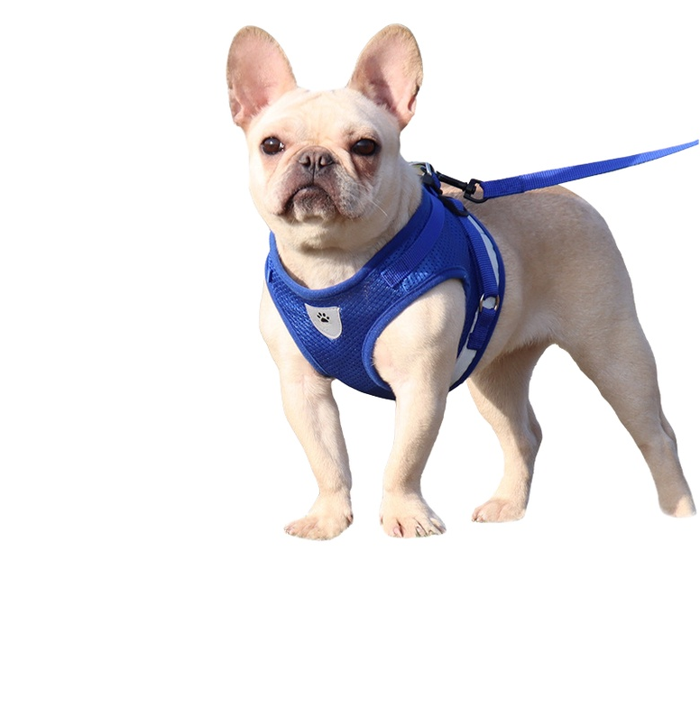 Dog leash cat leash with cooling mesh fabric vest and reflective harnesses for pets สายจูงสุนัข สายจูงแมว พร้อมเสื้อกั๊กผ้าตาข่ายระบายความร้อน และสายรัดสะท้อนแสงสำหรับสัตว์เลี้ยง  สายจูงสุนัข สายจูงแมว พร้อมเสื้อกั๊กผ้าตาข่ายระบายความร้อน และสายรัดสะท้อนแสงสำหรับสัตว์เลี้ยง 